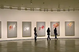 : Collections crossover - Museums