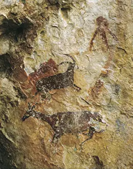 Stags: SPAIN. El Perello. Cave of La Cabra Freixet