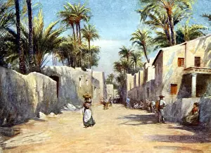 Alicante: SPAIN/ELCHE STREET 1908