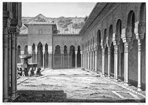 Leones: SPAIN GRANADA