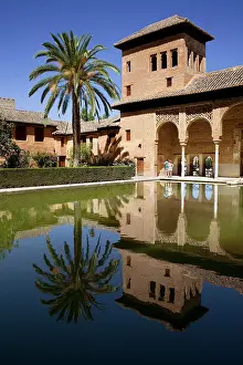 Spain. Granada. Partal Gardens