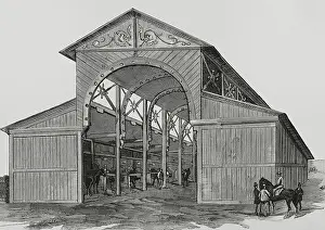 Stables: Spain, Madrid. Cattle exhibition of 1882