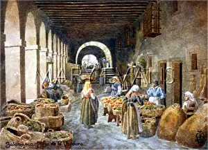 Verdura: SPAIN/SALAMANCA ARCADES