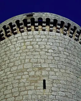 Enriquez: Spain. Torrelobaton Castle. 15th