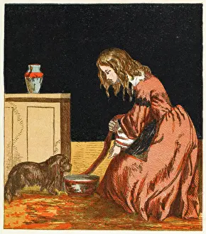 Fido: HER SPANIEL FIDO
