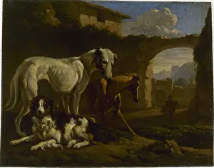 Greyhounds: Spaniel and greyhounds
