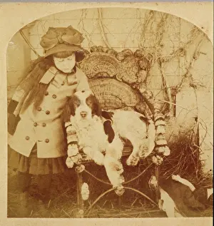 Christine Hinze: SPANIEL PHOTO 1882D