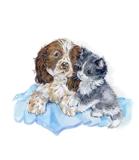 Matthes: Spaniel Puppy and Grey Kitten on a blue rug