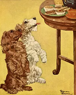Shaggy: Spaniel and Terrier Begging at Table