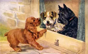Cocker: Spaniel and Terriers Meet at Door