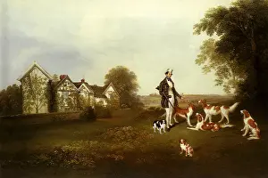 Setters: Spaniels, Irish Setters