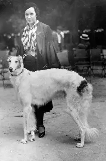 Borzoi: Spanish Borzoi