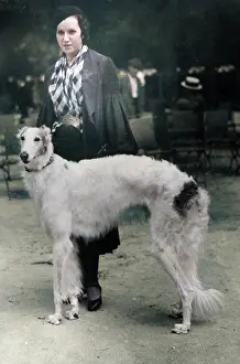 Borzoi: Spanish Borzoi