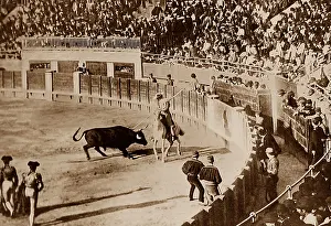 Picador: Spanish Bull Fight