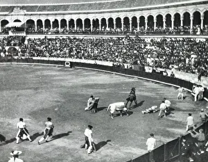 Matadors: Spanish Bullfight