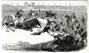 Bullfight: A Spanish bullfight