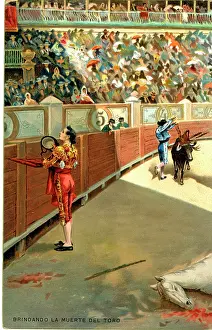 Satin: Spanish bullfighting
