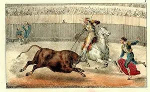 Charging: Spanish bullfighting - the bull charges