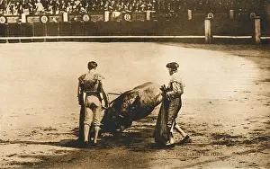 Tercio: Spanish Bullfighting - (card 3 of 3)