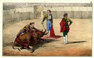 Bullfighting: Spanish bullfighting - coup de grace