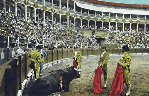 Bullring: Spanish Bullfighting Series (10/12)