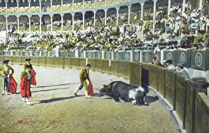 Bullring: Spanish Bullfighting Series (11/12)