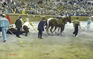 Bullring: Spanish Bullfighting Series (12/12)