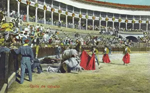 Bullring: Spanish Bullfighting Series (4/12)