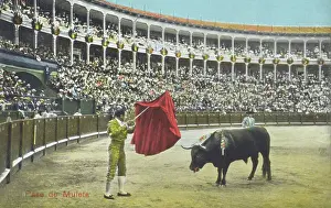 Muleta: Spanish Bullfighting Series (7/12)