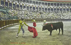 Bullring: Spanish Bullfighting Series (8/12)