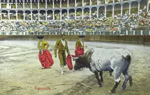 Lunge: Spanish Bullfighting Series (9/12)