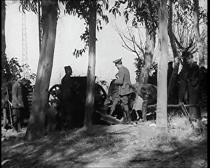 Copse: Spanish Civil War