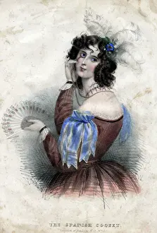Ribbons: The Spanish Coquet