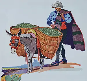 Penfield: Spanish farmer with burro