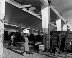 Alexander Brims: SPANISH FISH MARKET