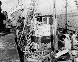 Unloading: SPANISH FISHING INDUSTRY