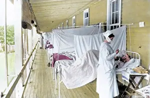 Pulse: Spanish Flu Centenary