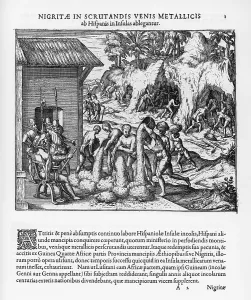 Hispaniola: Spanish in Hispaniola import Slaves