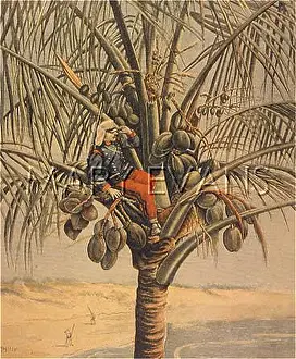 Yanquis: SPANISH LOOKOUT
