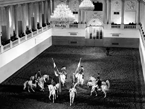 Lippizaner: Spanish Riding School 1960s