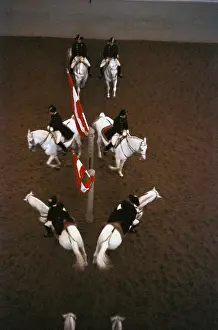 Lippizaner: Spanish Riding School