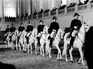 Unseco: The Spanish Riding School