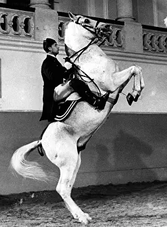 Unseco: The Spanish Riding School