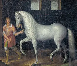 Maurits: Spanish war horse with groom