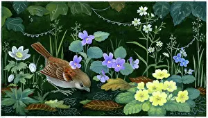 Lynes: Sparrow with violets and primroses etc