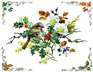 Lynes: Sparrow on a winter flower spray