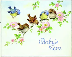 Lynes: Sparrows and Blue Tits on a wild rose bough