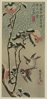 Camellia: Sparrows and camellias in snow