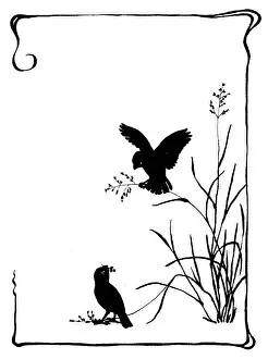 Bobbity: Two sparrows collecting grass seeds