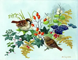 Bracken: Two Sparrows with rose hips, ivy, bracken etc